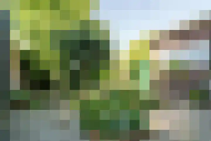 Veluviaweg 13 Wageningen thumbnail 25