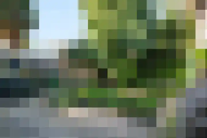 Veluviaweg 13 Wageningen thumbnail 26