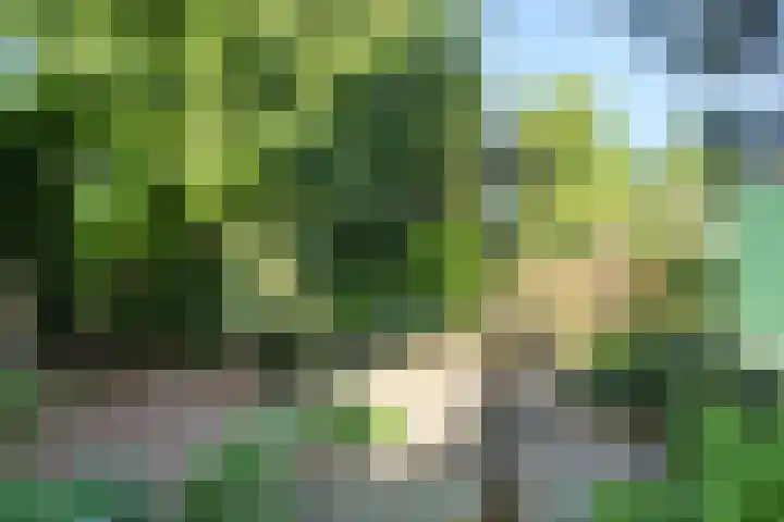 Veluviaweg 13 Wageningen thumbnail 27