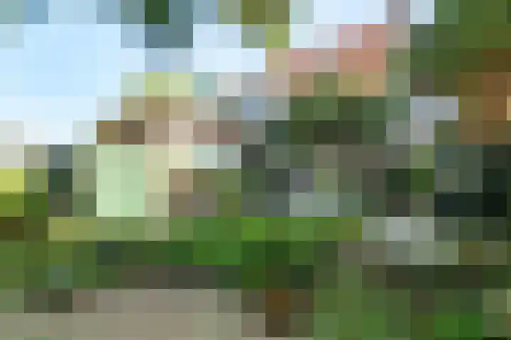 Veluviaweg 13 Wageningen thumbnail 28