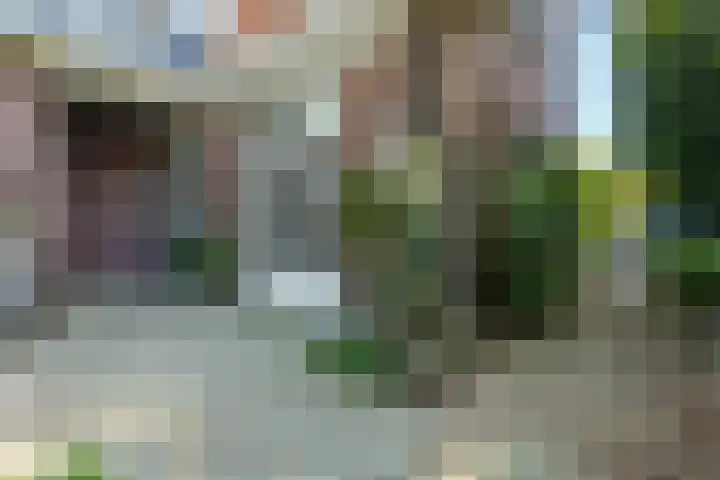 Veluviaweg 13 Wageningen thumbnail 30