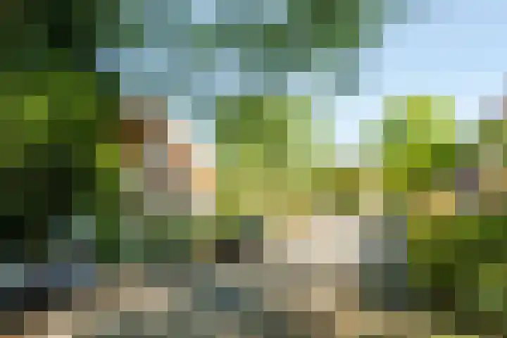 Veluviaweg 13 Wageningen thumbnail 32