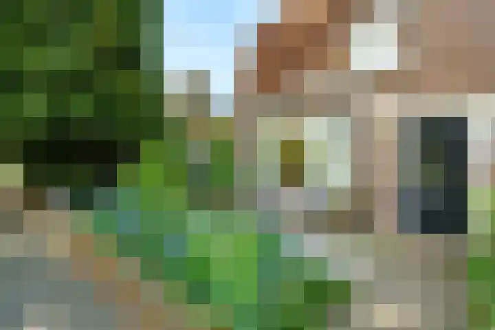 Veluviaweg 13 Wageningen thumbnail 4