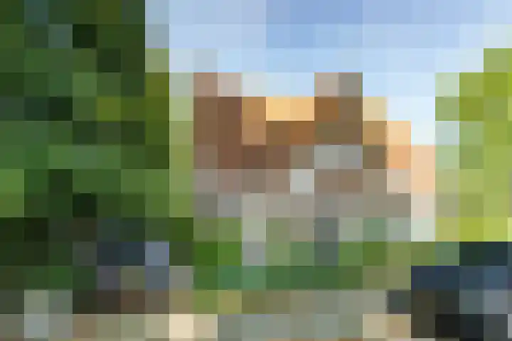 Veluviaweg 13 Wageningen thumbnail 41