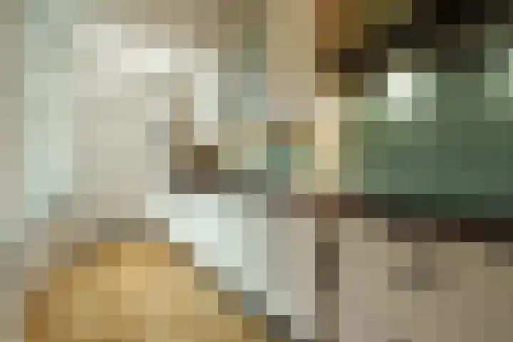 Veluviaweg 24 Wageningen thumbnail 17