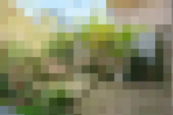 Veluviaweg 24 Wageningen thumbnail 33