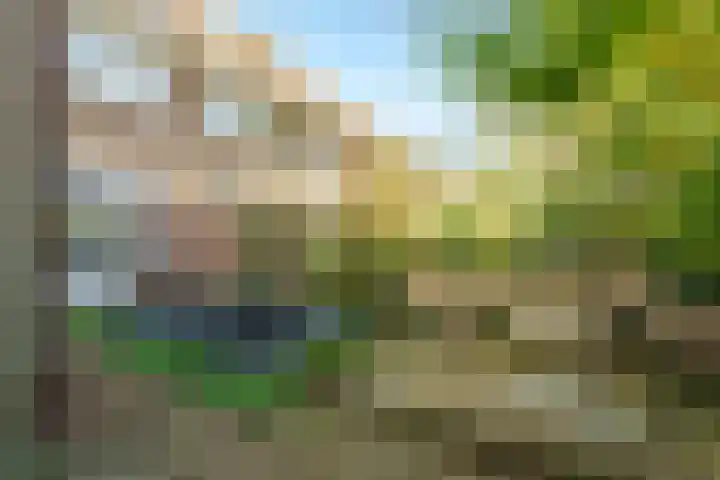 Veluviaweg 24 Wageningen thumbnail 34