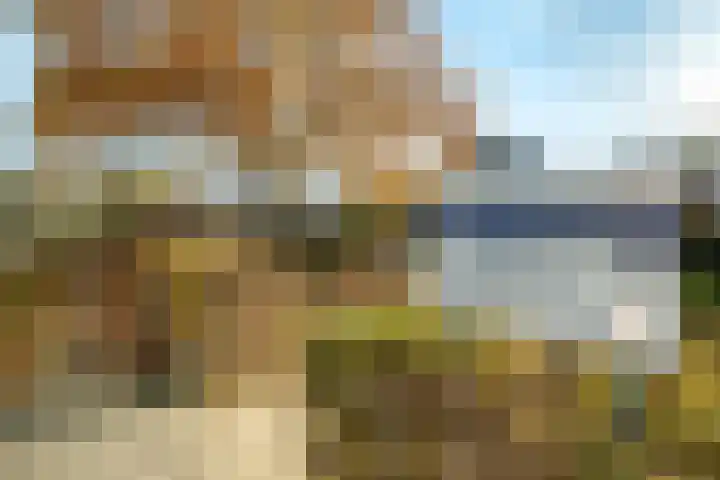 Veluviaweg 24 Wageningen thumbnail 37