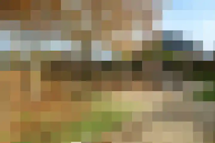 Veluviaweg 24 Wageningen thumbnail 38