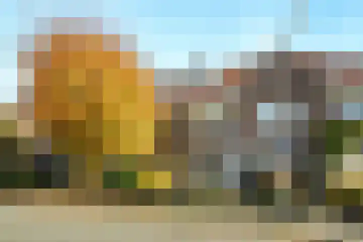 Veluviaweg 24 Wageningen thumbnail 7
