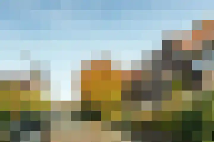 Veluviaweg 24 Wageningen thumbnail 8