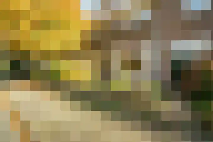 Veluviaweg 24 Wageningen thumbnail 9