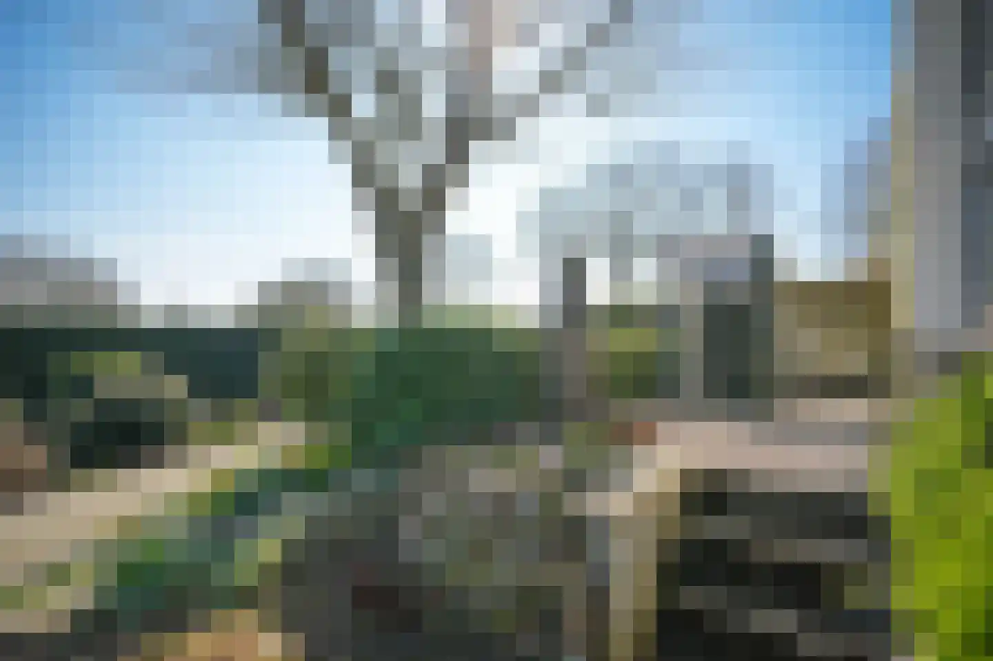 Veluwe 11 Heerewaarden thumbnail 38