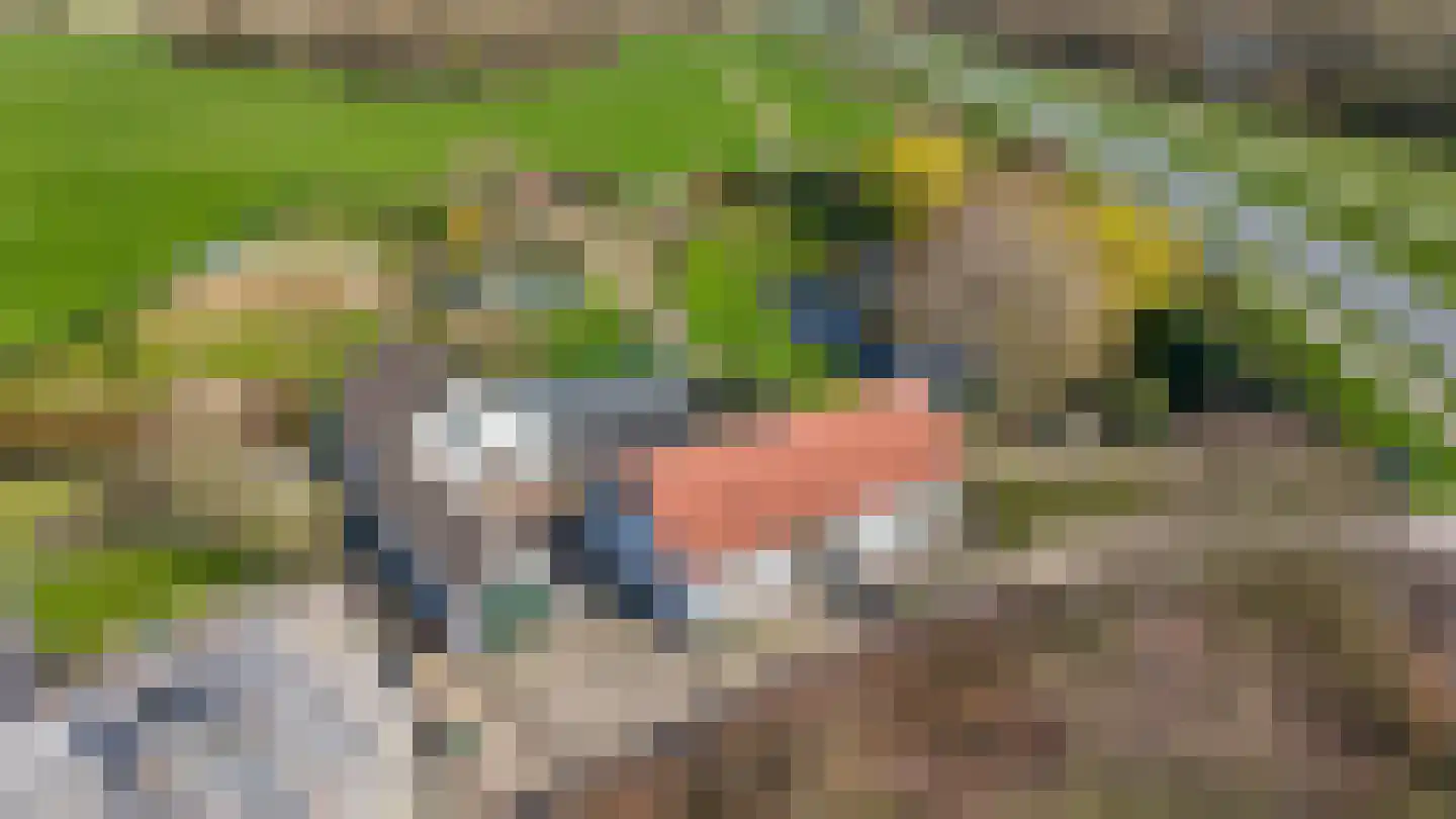Veluwe 11 Heerewaarden thumbnail 50