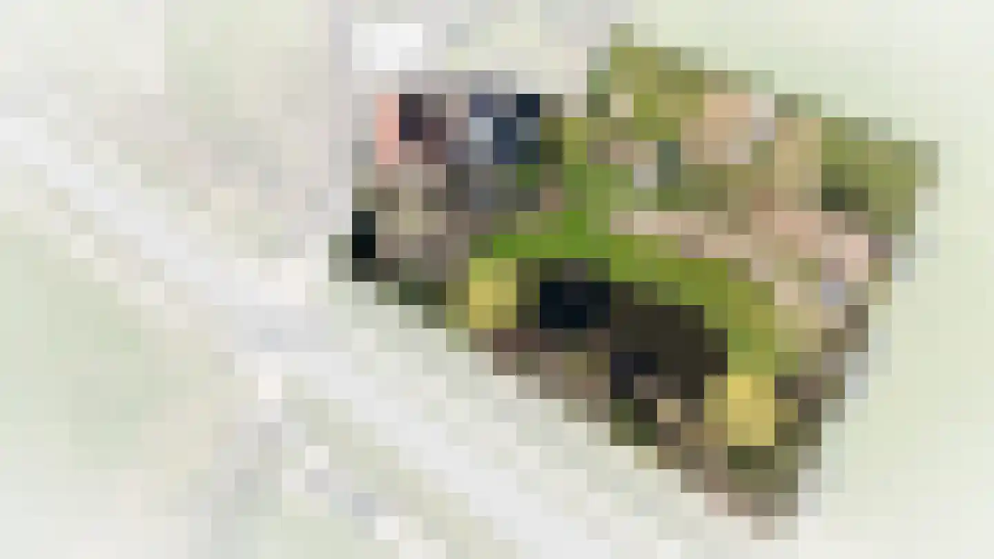Veluwe 11 Heerewaarden thumbnail 51
