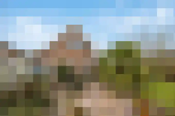 Veluwe 3 Heerewaarden thumbnail 43