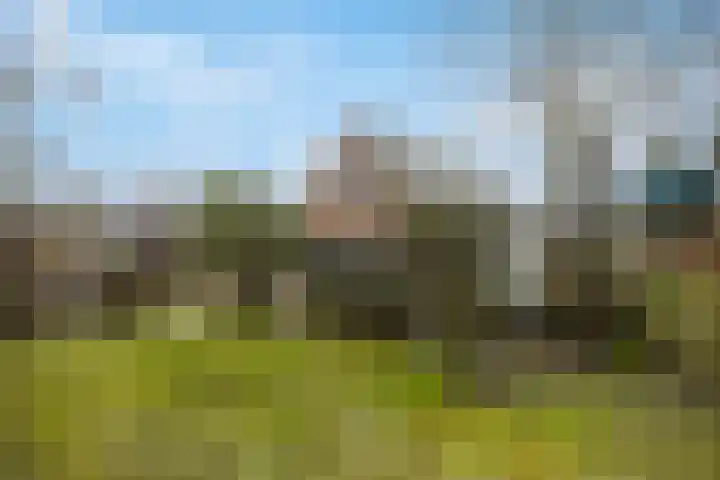 Veluwe 3 Heerewaarden thumbnail 45