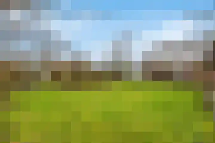 Veluwe 3 Heerewaarden thumbnail 47