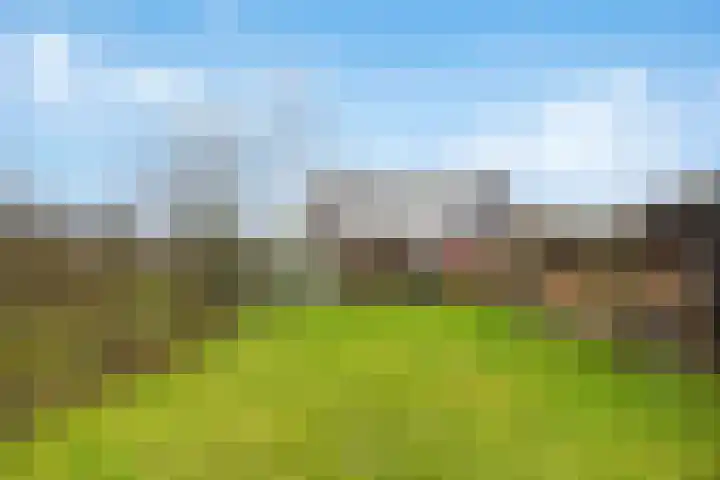 Veluwe 3 Heerewaarden thumbnail 48
