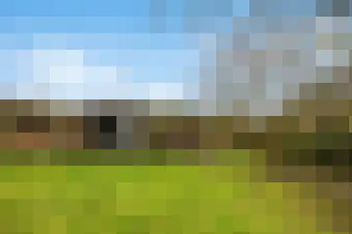 Veluwe 3 Heerewaarden thumbnail 50