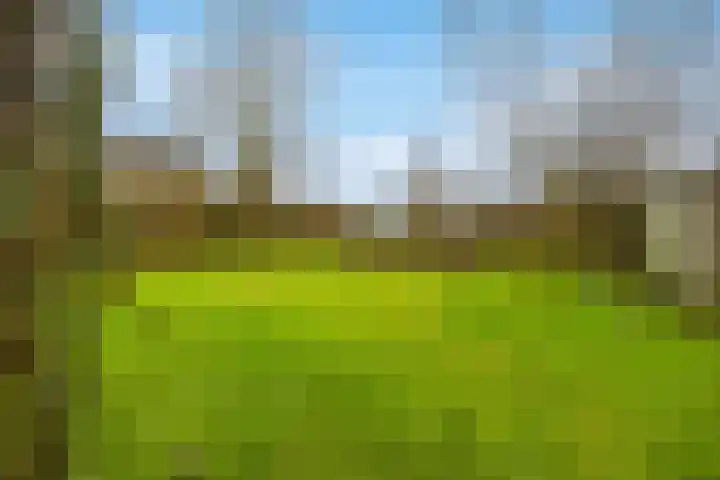 Veluwe 3 Heerewaarden thumbnail 51
