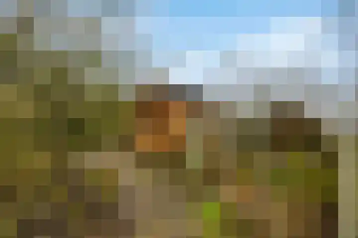 Veluwe 3 Heerewaarden thumbnail 52