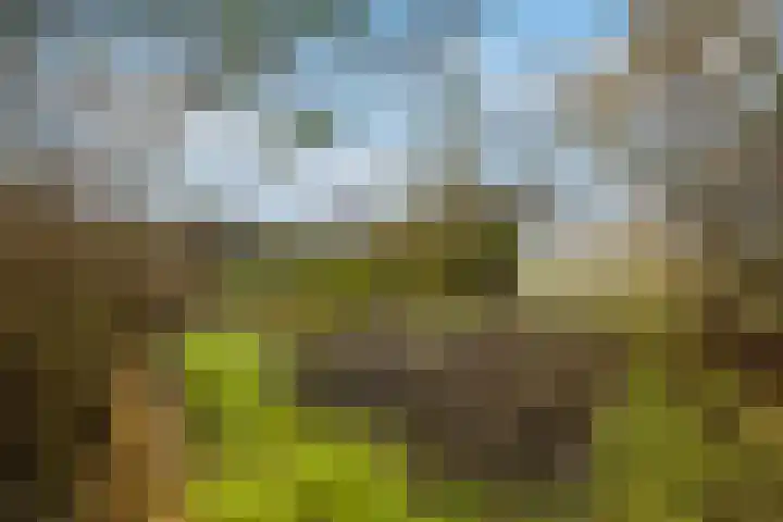 Veluwe 3 Heerewaarden thumbnail 53