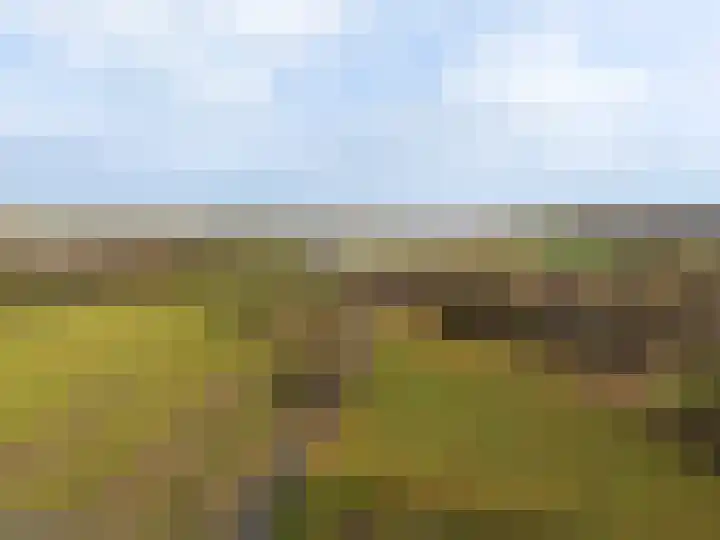 Veluwe 3 Heerewaarden thumbnail 59