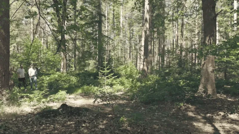 Kantoor foto van Veluwe Chalets Makelaars