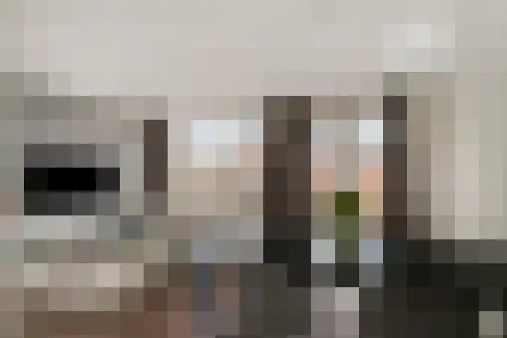 Veluwehof 121 Helmond thumbnail 14