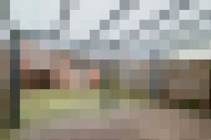 Veluwehof 121 Helmond thumbnail 33
