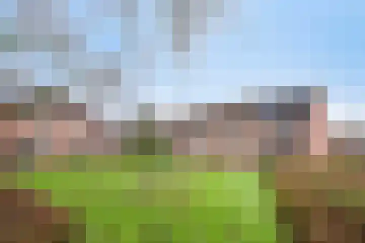 Veluwehof 121 Helmond thumbnail 36