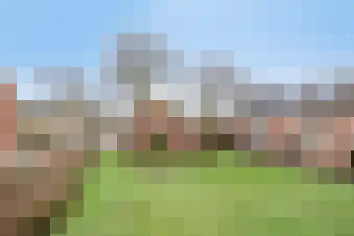 Veluwehof 121 Helmond thumbnail 37