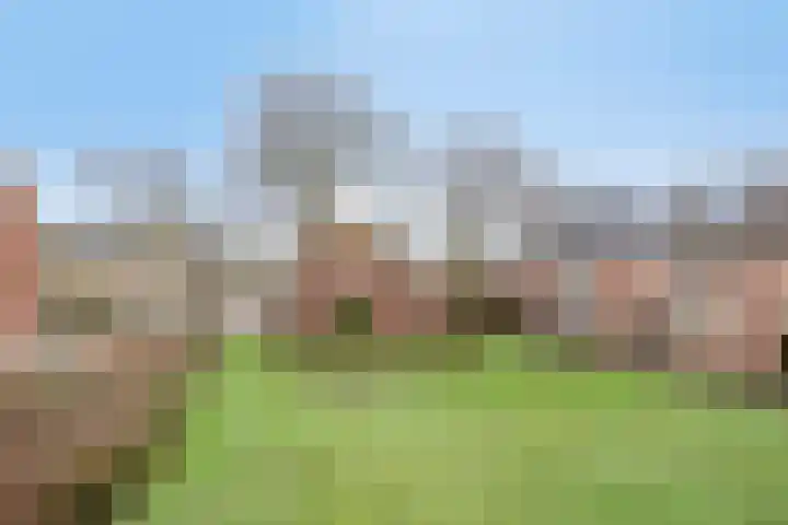 Veluwehof 121 Helmond thumbnail 5