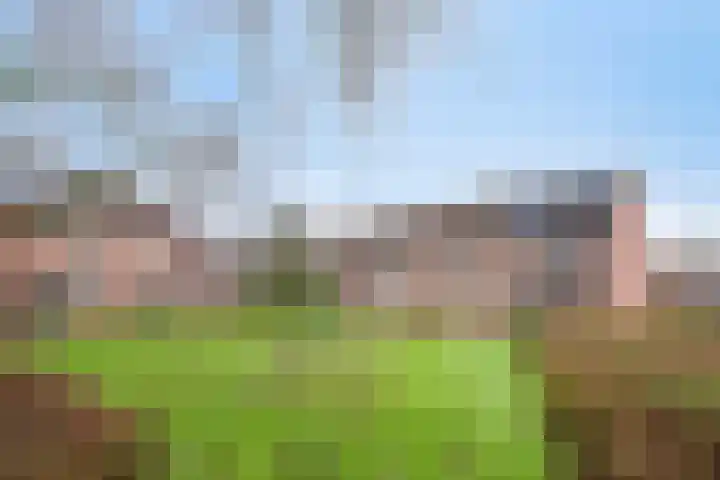 Veluwehof 121 Helmond thumbnail 8