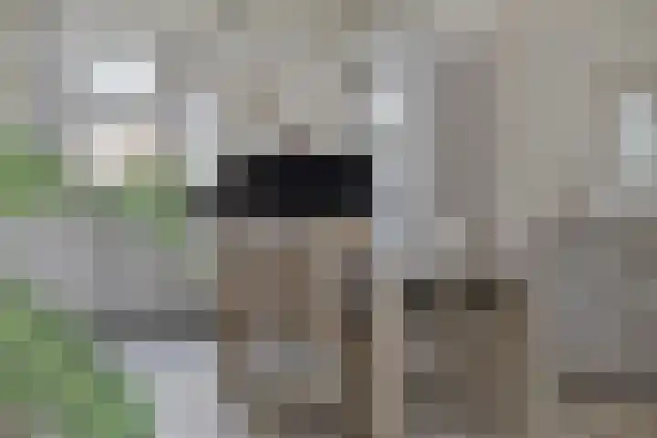 Veluwehof 82 Helmond thumbnail 14