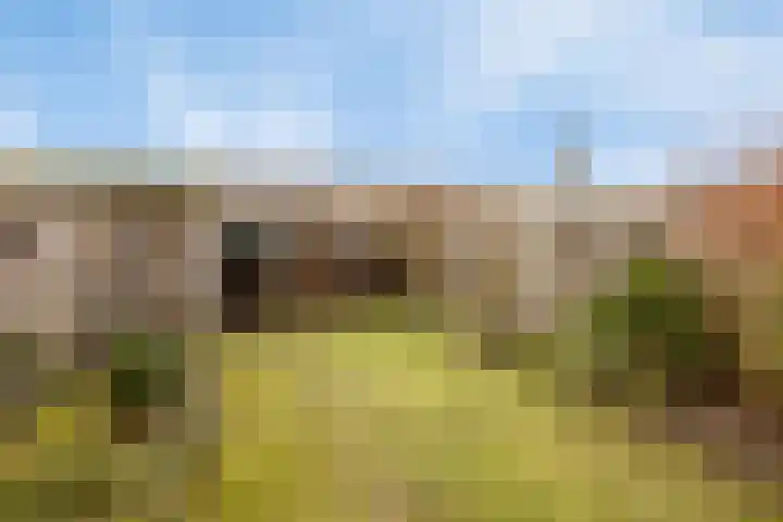 Veluwehof 82 Helmond thumbnail 28