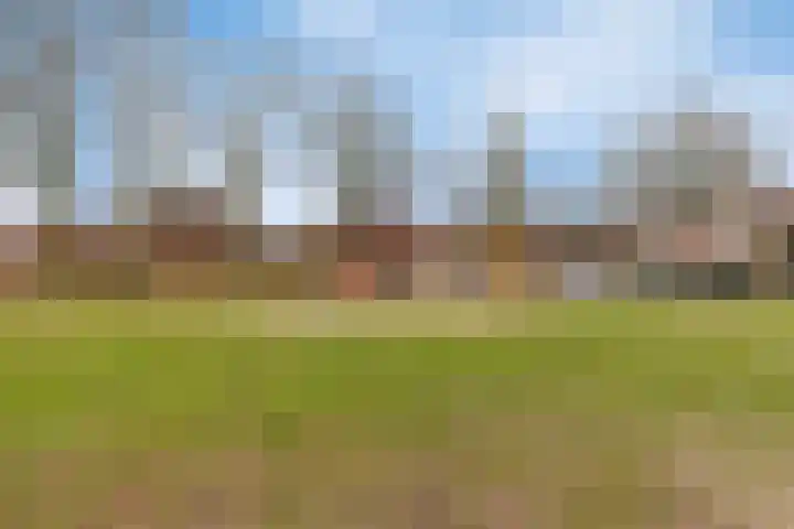 Veluwehof 82 Helmond thumbnail 36