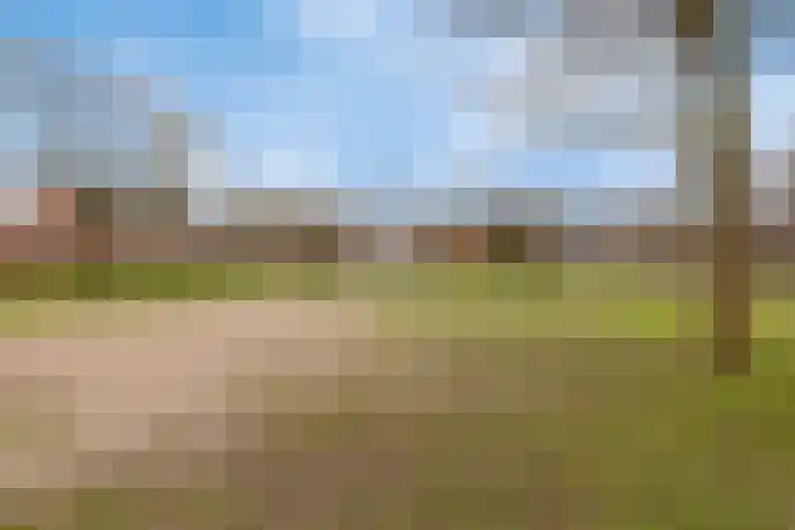 Veluwehof 82 Helmond thumbnail 37