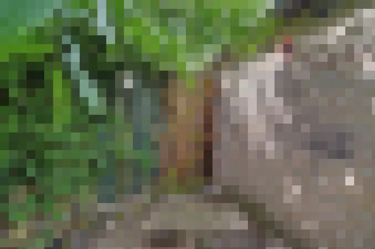 Veluwehof 92 Helmond thumbnail 34