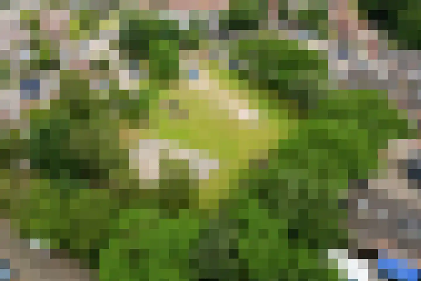 Veluwehof 92 Helmond thumbnail 38