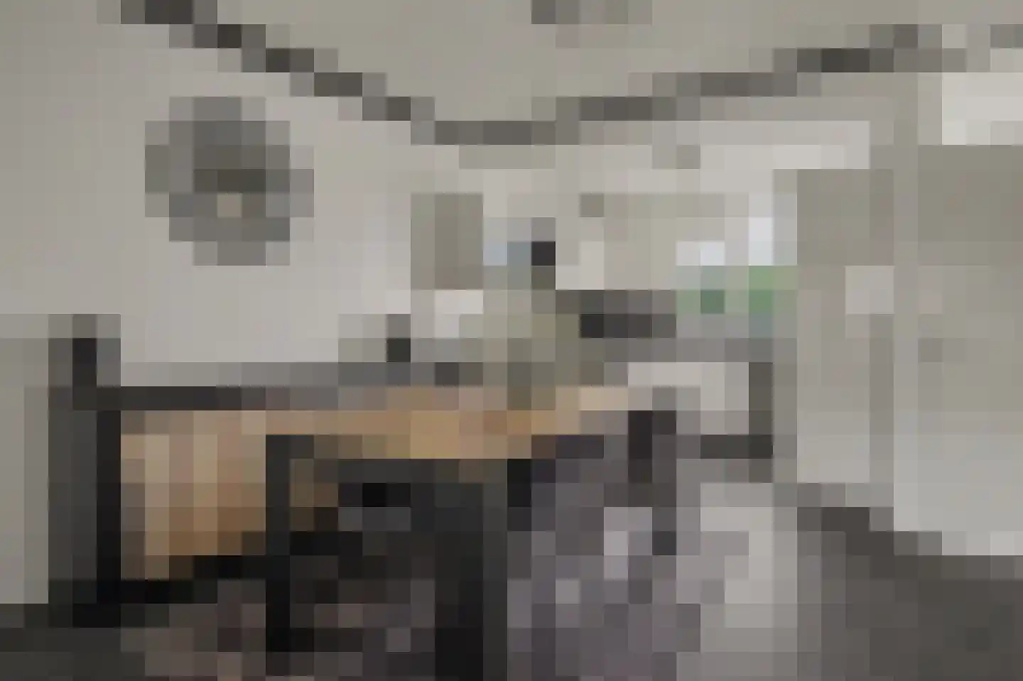 Veluwehof 92 Helmond thumbnail 8