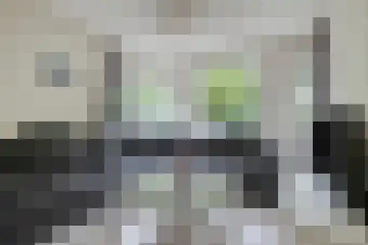 Veluwehof 96 Helmond thumbnail 10