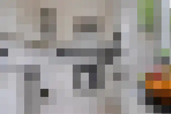 Veluwehof 96 Helmond thumbnail 16