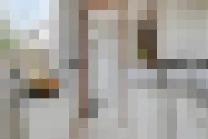 Veluwehof 96 Helmond thumbnail 18
