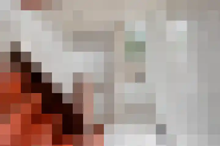 Veluwehof 96 Helmond thumbnail 21