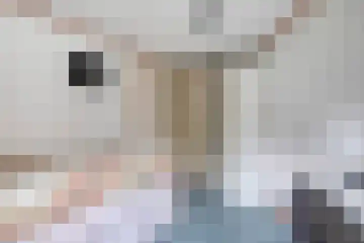 Veluwehof 96 Helmond thumbnail 26