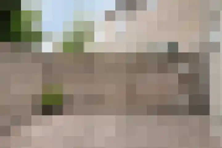 Veluwehof 96 Helmond thumbnail 35