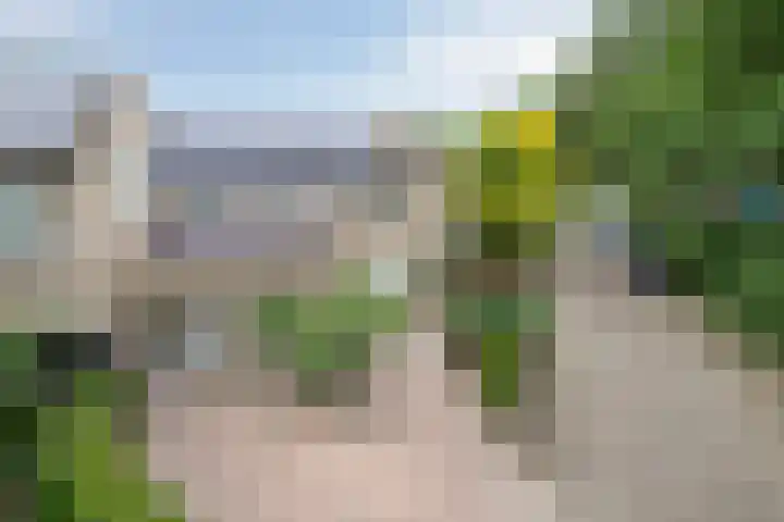 Veluwehof 96 Helmond thumbnail 41