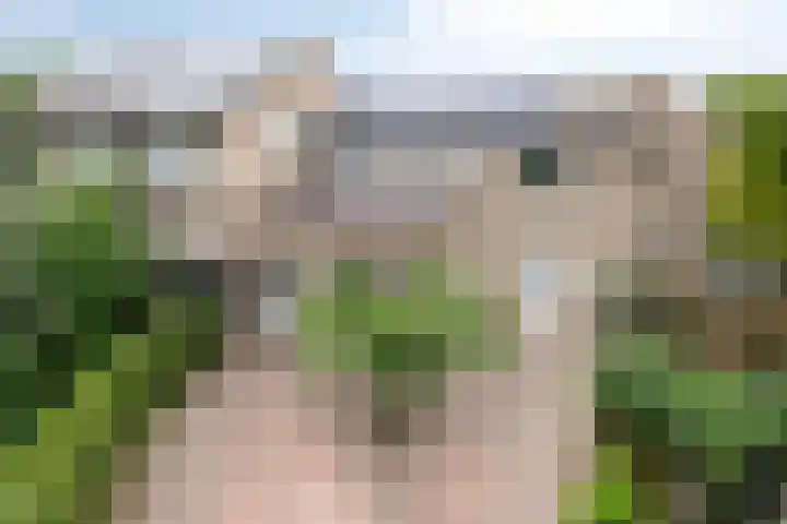 Veluwehof 96 Helmond thumbnail 43